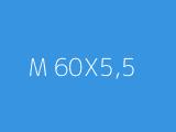 M 60X5,5 